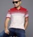 Allen Solly Colourblocked Polo Collar T-shirt