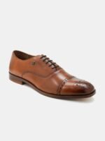 Arrow Men Vertex Perforated Leather Formal Oxfords