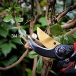 Jd Fresh 8 Inch Heavy Duty Plant Cutter For Home Garden Scissors, Plant Branch Cutter For Tree, Pruner Cutter Heavy Duty, Garden Tools For Home Gardening Scissors, Prunning...