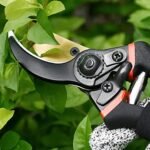 Jd Fresh 8 Inch Heavy Duty Plant Cutter For Home Garden Scissors, Plant Branch Cutter For Tree, Pruner Cutter Heavy Duty, Garden Tools For Home Gardening Scissors, Prunning...