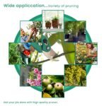 Oblivion Pruner for Gardening, Gardening scissor, Garden shears tool,Garden scissors and cutter, Plants cutter for gardening, Flower cutter for Gardening use,(18cm Multicolour)